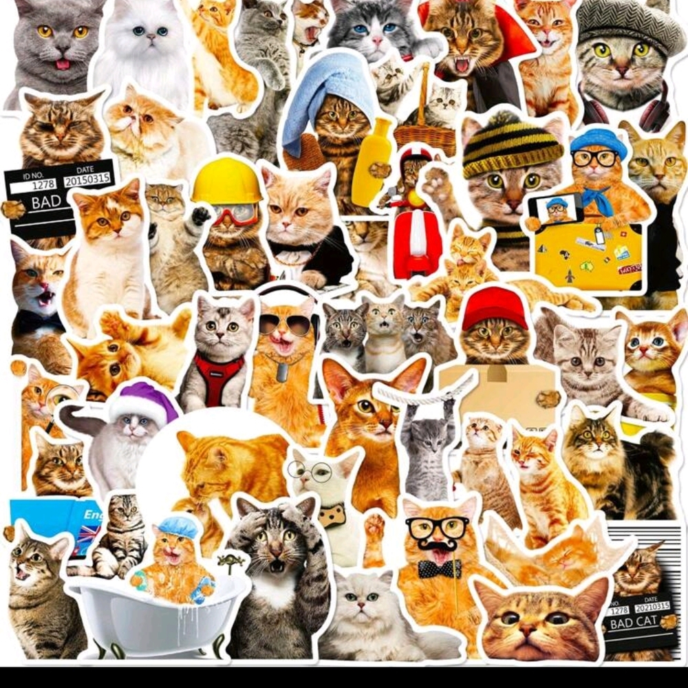Playful Cat Sticker Collection - Picture 2 of 5